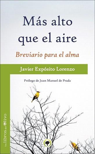 MÁS ALTO QUE EL AIRE | 9788494170423 | EXPÓSITO, JAVIER | Llibres Parcir | Llibreria Parcir | Llibreria online de Manresa | Comprar llibres en català i castellà online