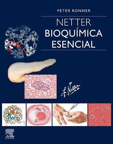 NETTER. BIOQUÍMICA ESENCIAL | 9788491135159 | RONNER, PETER | Llibres Parcir | Llibreria Parcir | Llibreria online de Manresa | Comprar llibres en català i castellà online