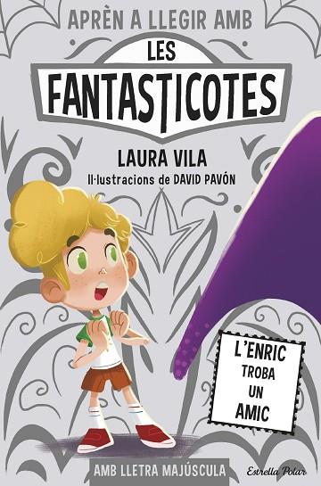 APRÈN A LLEGIR AMB LES FANTASTICOTES 11. L'ENRIC TROBA UN AMIC | 9788491379843 | VILA, LAURA | Llibres Parcir | Llibreria Parcir | Llibreria online de Manresa | Comprar llibres en català i castellà online