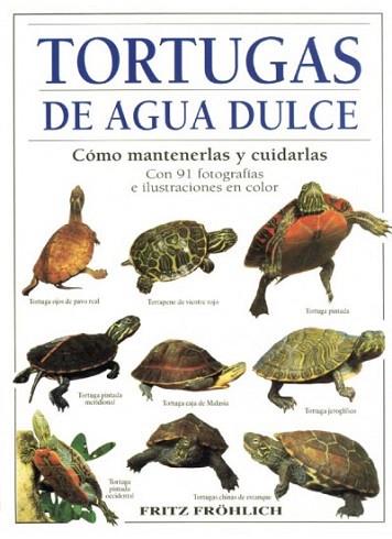 TORTUGAS AGUA DULCE | 9788428210980 | FROHLICH | Llibres Parcir | Librería Parcir | Librería online de Manresa | Comprar libros en catalán y castellano online