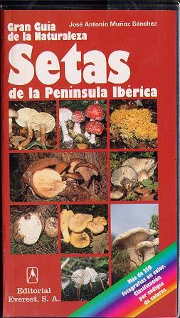 SETAS GRAN GUIA NATURALEZ | 9788424126896 | MUÐOZ SANCHEZ | Llibres Parcir | Librería Parcir | Librería online de Manresa | Comprar libros en catalán y castellano online