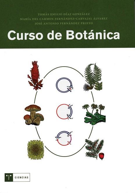 CURSO DE BOTÁNICA | 9788497041133 | DÍAZ GONZÁLEZ, TOMÁS EMILIO / FERNÁNDEZ-CARVAJAL ÁLVAREZ, Mª CARMEN / FERNÁNDEZ PRIETO, JOSÉ A. | Llibres Parcir | Llibreria Parcir | Llibreria online de Manresa | Comprar llibres en català i castellà online