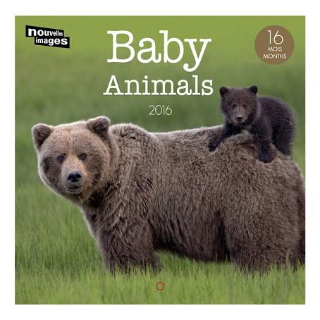 CALENDARI MINI BABY ANIMALS | 3045677920821 | Llibres Parcir | Llibreria Parcir | Llibreria online de Manresa | Comprar llibres en català i castellà online