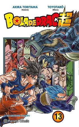 BOLA DE DRAC SUPER Nº 13 | 9788491730323 | TORIYAMA, AKIRA/TOYOTARÔ | Llibres Parcir | Llibreria Parcir | Llibreria online de Manresa | Comprar llibres en català i castellà online