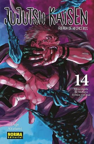 JUJUTSU KAISEN 14 (NUEVO PVP) | 9788467966909 | AKUTAMI, GEGE | Llibres Parcir | Llibreria Parcir | Llibreria online de Manresa | Comprar llibres en català i castellà online