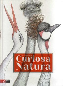 CURIOSA NATURA | 9788494713538 | GUIRAUD, FLORENCE | Llibres Parcir | Llibreria Parcir | Llibreria online de Manresa | Comprar llibres en català i castellà online