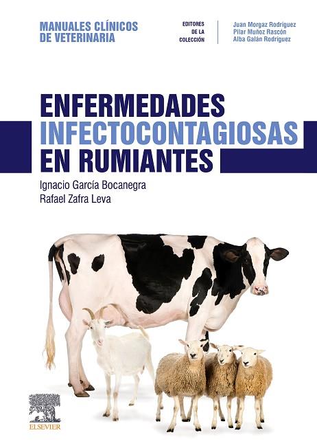 ENFERMEDADES INFECTOCONTAGIOSAS EN RUMIANTES | 9788491133537 | GARCÍA BOCANEGRA, IGNACIO | Llibres Parcir | Llibreria Parcir | Llibreria online de Manresa | Comprar llibres en català i castellà online