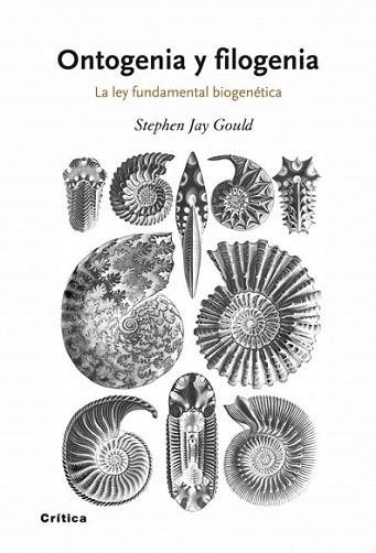 ONTOGENIA Y FOLOGENIA | 9788498920628 | STEPHEN JAU GOULD | Llibres Parcir | Llibreria Parcir | Llibreria online de Manresa | Comprar llibres en català i castellà online