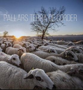 PALLARS TERRA DE CORDER | 9788412080193 | RIUDOR, NOEMÍ/ AJUNTAMENT DE TREMP/ FUNDACIÓ ALÍCIA/ CANISSERÍES I RESTAURADORS DEL PALLARS JUSSÀ | Llibres Parcir | Llibreria Parcir | Llibreria online de Manresa | Comprar llibres en català i castellà online