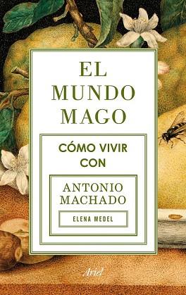 EL MUNDO MAGO | 9788434422353 | ELENA MEDEL | Llibres Parcir | Llibreria Parcir | Llibreria online de Manresa | Comprar llibres en català i castellà online