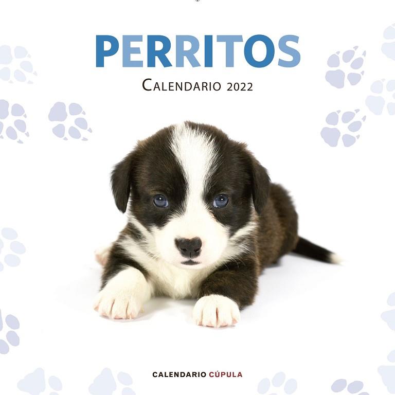 CALENDARIO PERRITOS 2022 | 9788448028701 | AA. VV. | Llibres Parcir | Llibreria Parcir | Llibreria online de Manresa | Comprar llibres en català i castellà online