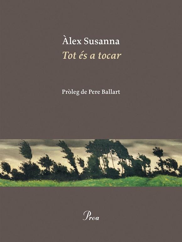 TOT ÉS A TOCAR | 9788410488045 | SUSANNA NADAL, ÀLEX | Llibres Parcir | Llibreria Parcir | Llibreria online de Manresa | Comprar llibres en català i castellà online