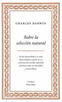 Sobre la selección natural | 9788430609277 | Darwin, Charles | Llibres Parcir | Llibreria Parcir | Llibreria online de Manresa | Comprar llibres en català i castellà online