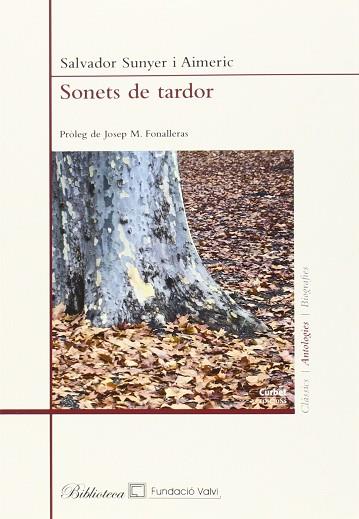 SONETS DE TARDOR | 9788494379666 | SUNYER I AIMERIC, SALVADOR | Llibres Parcir | Llibreria Parcir | Llibreria online de Manresa | Comprar llibres en català i castellà online