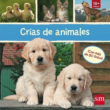 CRÍAS DE ANIMALES | 9788467574357 | VVAA | Llibres Parcir | Llibreria Parcir | Llibreria online de Manresa | Comprar llibres en català i castellà online