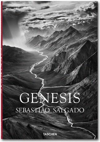 SALGADO, GENESIS | 9783836542630 | LELIA WANICK SALGADO | Llibres Parcir | Llibreria Parcir | Llibreria online de Manresa | Comprar llibres en català i castellà online