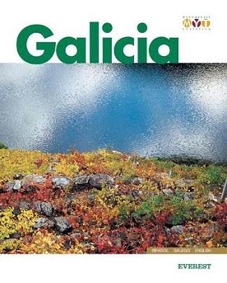 GALICIA MONUMENTAL Y TURISTICA | 9788424102715 | Llibres Parcir | Llibreria Parcir | Llibreria online de Manresa | Comprar llibres en català i castellà online