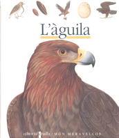 L'AGUILA | 9788476298220 | Llibres Parcir | Llibreria Parcir | Llibreria online de Manresa | Comprar llibres en català i castellà online