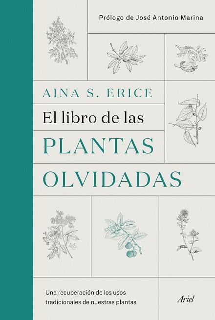 EL LIBRO DE LAS PLANTAS OLVIDADAS | 9788434431461 | S. ERICE, AINA | Llibres Parcir | Llibreria Parcir | Llibreria online de Manresa | Comprar llibres en català i castellà online