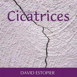 CIERTAS CICATRICES | PODI111914 | ESTOPIER  DAVID | Llibres Parcir | Llibreria Parcir | Llibreria online de Manresa | Comprar llibres en català i castellà online