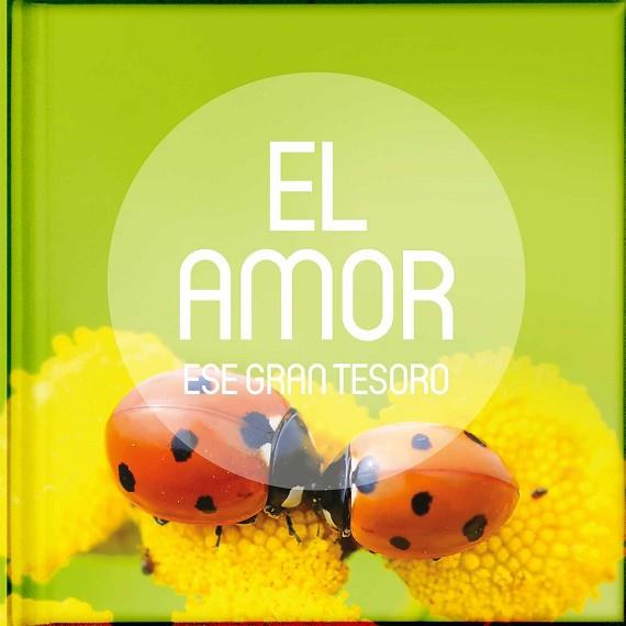 EL AMOR. ESE GRAN TESORO | 9783037307939 | Llibres Parcir | Llibreria Parcir | Llibreria online de Manresa | Comprar llibres en català i castellà online