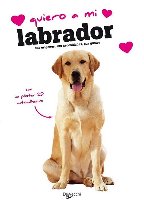 QUIERO A MI LABRADOS sus origenes necesidades gustos | 9788431541514 | PORTA POSTER AUTOADHESIVO | Llibres Parcir | Llibreria Parcir | Llibreria online de Manresa | Comprar llibres en català i castellà online