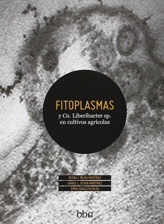 FITOPLASMAS | 9786077151388 | ROJAS MARTÍNEZ, REYNA I. / OCHOA MARTÍNEZ, DANIEL L. / ZAVALETA MEJÍA, EMMA | Llibres Parcir | Llibreria Parcir | Llibreria online de Manresa | Comprar llibres en català i castellà online