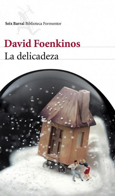 LA DELICADEZA | 9788432209246 | FOENKINOS DAVID | Llibres Parcir | Llibreria Parcir | Llibreria online de Manresa | Comprar llibres en català i castellà online