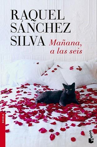 MAÑANA, A LAS SEIS | 9788408140498 | RAQUEL SÁNCHEZ SILVA | Llibres Parcir | Llibreria Parcir | Llibreria online de Manresa | Comprar llibres en català i castellà online