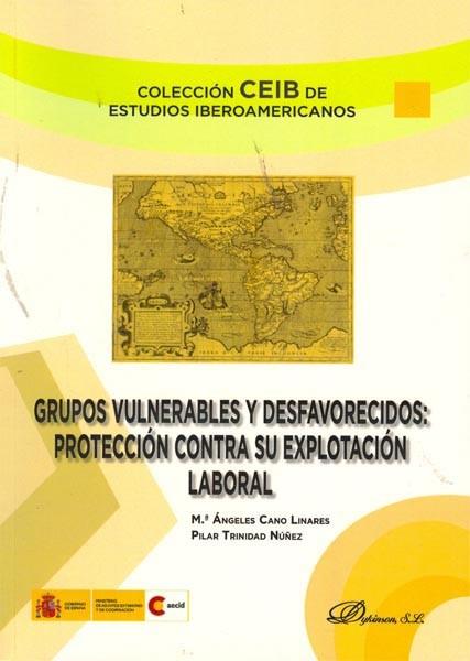 GRUPOS VULNERABLES Y DESFAVORECIDOS PROTECC CONTRA EXPL LAB | 9788499820255 | MARIA ANGELES CANO LINARES PILAR TRINIDAD NUÑEZ | Llibres Parcir | Llibreria Parcir | Llibreria online de Manresa | Comprar llibres en català i castellà online