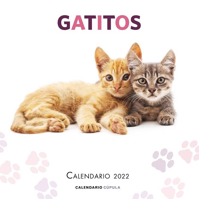 CALENDARIO GATITOS 2022 | 9788448028695 | AA. VV. | Llibres Parcir | Llibreria Parcir | Llibreria online de Manresa | Comprar llibres en català i castellà online