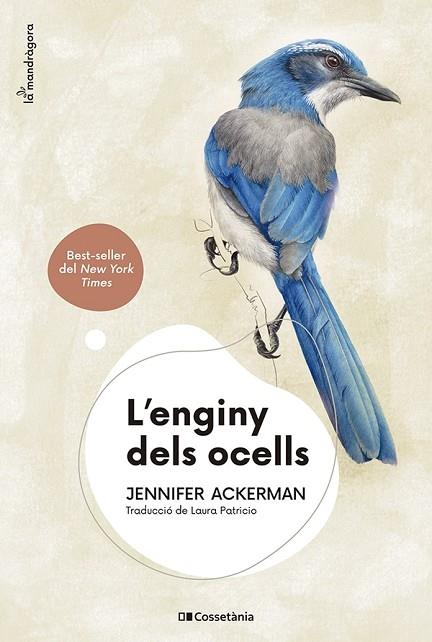 L'ENGINY DELS OCELLS | 9788413562544 | ACKERMAN, JENNIFER | Llibres Parcir | Llibreria Parcir | Llibreria online de Manresa | Comprar llibres en català i castellà online