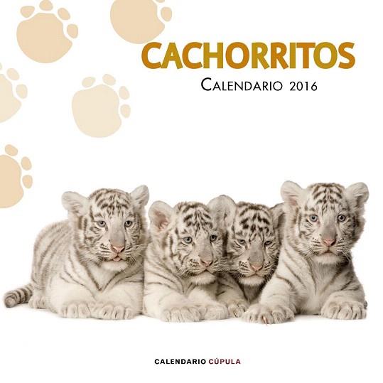 CALENDARIO CACHORRITOS 2016 | 9788448021733 | AA. VV. | Llibres Parcir | Llibreria Parcir | Llibreria online de Manresa | Comprar llibres en català i castellà online