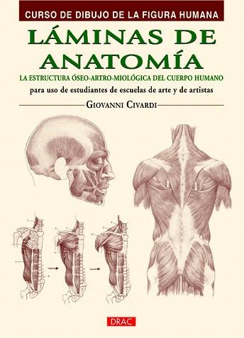 LÁMINAS DE ANATOMÍA | 9788498744798 | CIVARDI, GIOVANNI | Llibres Parcir | Llibreria Parcir | Llibreria online de Manresa | Comprar llibres en català i castellà online