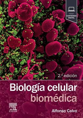 BIOLOGÍA CELULAR BIOMÉDICA | 9788491139591 | CALVO GONZALEZ, ALFONSO | Llibres Parcir | Llibreria Parcir | Llibreria online de Manresa | Comprar llibres en català i castellà online