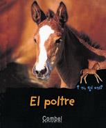 EL POLTRE i tu qui ets ? | 9788478642151 | Llibres Parcir | Llibreria Parcir | Llibreria online de Manresa | Comprar llibres en català i castellà online