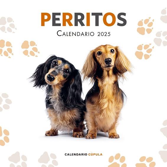 CALENDARIO PERRITOS 2025 | 9788448041649 | AA. VV. | Llibres Parcir | Llibreria Parcir | Llibreria online de Manresa | Comprar llibres en català i castellà online