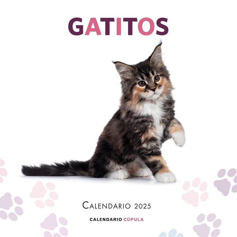 CALENDARIO GATITOS 2025 | 9788448041656 | AA. VV. | Llibres Parcir | Llibreria Parcir | Llibreria online de Manresa | Comprar llibres en català i castellà online