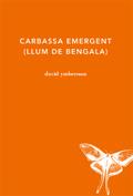 CARABASSA EMERGENT (LLUM DE BENGALA) | 9788494433023 | YMBERNON, DAVID | Llibres Parcir | Llibreria Parcir | Llibreria online de Manresa | Comprar llibres en català i castellà online