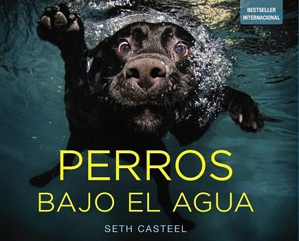 PERROS BAJO EL AGUA | 9788441534612 | CASTEL, SETH | Llibres Parcir | Llibreria Parcir | Llibreria online de Manresa | Comprar llibres en català i castellà online