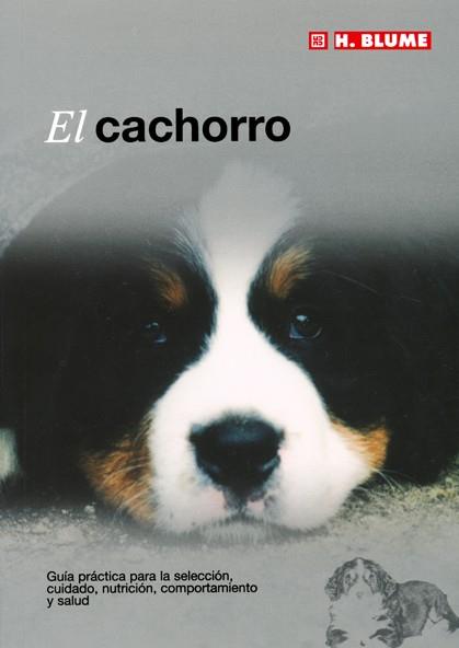 EL CACHORRO | 9788489840898 | Llibres Parcir | Librería Parcir | Librería online de Manresa | Comprar libros en catalán y castellano online