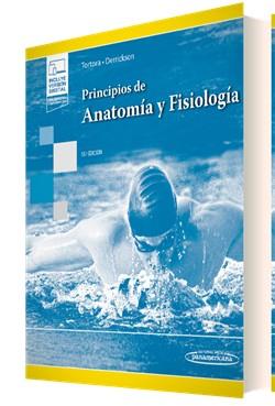 PRINCIPIOS DE ANATOMÍA Y FISIOLOGÍA (+E-BOOK) | 9788411060264 | TORTORA, GERARD J. / DERRICKSON, BRYAN | Llibres Parcir | Llibreria Parcir | Llibreria online de Manresa | Comprar llibres en català i castellà online