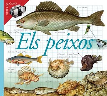 ELS PEIXOS | 9788434228405 | JULIVERT ZAMARREÑO, ÀNGELS | Llibres Parcir | Llibreria Parcir | Llibreria online de Manresa | Comprar llibres en català i castellà online