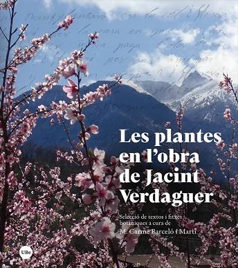 LES PLANTES EN L'OBRA DE JACINT VERDAGUER | 9788447540792 | BARCELÓ I MARTÍ, MARIA CARME | Llibres Parcir | Llibreria Parcir | Llibreria online de Manresa | Comprar llibres en català i castellà online