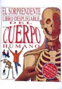 SORPRENDENTE LIBRO DESPLEGABLE CUERPO HUMANO | 9788427241619 | HAWCOCK | Llibres Parcir | Librería Parcir | Librería online de Manresa | Comprar libros en catalán y castellano online