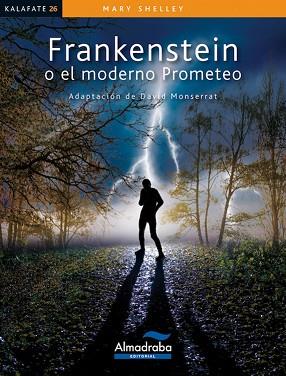 FRANKENSTEIN O EL MODERNO PROMETEO | 9788483088203 | SHELLEY, MARY | Llibres Parcir | Llibreria Parcir | Llibreria online de Manresa | Comprar llibres en català i castellà online