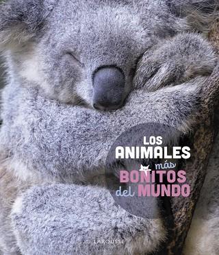 LOS ANIMALES MÁS BONITOS DEL MUNDO | 9788419436177 | LEDU, STÉPHANIE | Llibres Parcir | Llibreria Parcir | Llibreria online de Manresa | Comprar llibres en català i castellà online