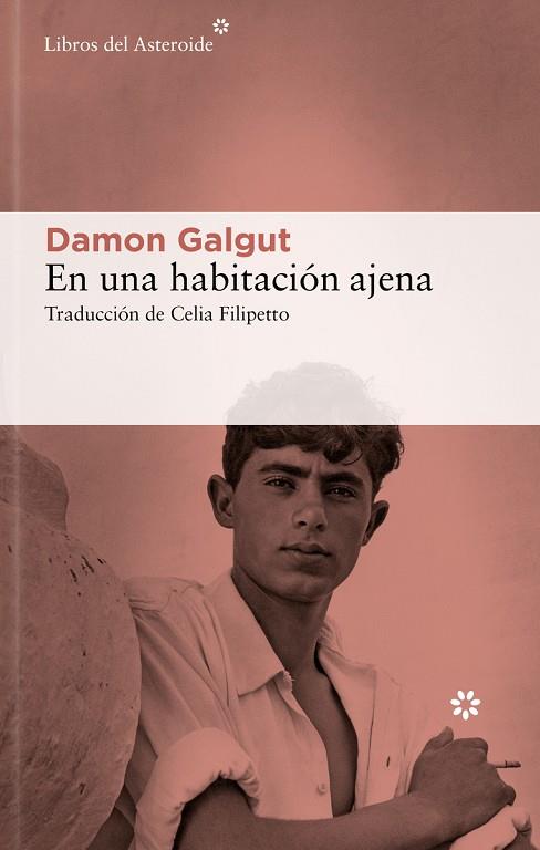 EN UNA HABITACIÓN AJENA | 9788419089892 | GALGUT, DAMON | Llibres Parcir | Llibreria Parcir | Llibreria online de Manresa | Comprar llibres en català i castellà online