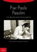 PIER PAOLO PASOLINI | 9788494367205 | GONZÁLEZ GARCÍA, FERNANDO | Llibres Parcir | Librería Parcir | Librería online de Manresa | Comprar libros en catalán y castellano online