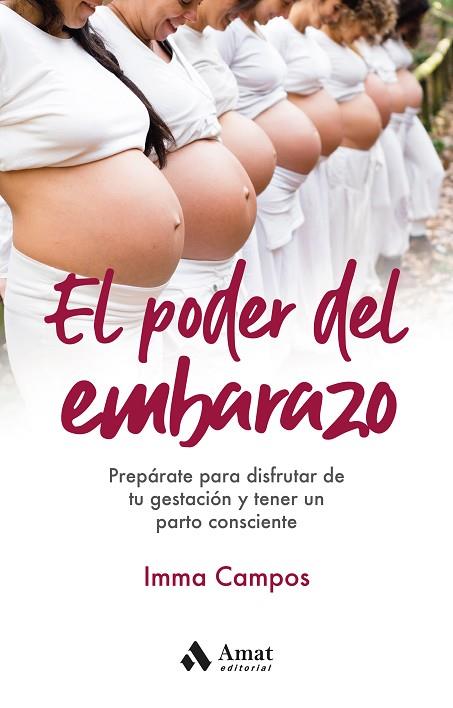 EL PODER DEL EMBARAZO | 9788418114885 | CAMPOS ORELLANA, IMMA | Llibres Parcir | Llibreria Parcir | Llibreria online de Manresa | Comprar llibres en català i castellà online